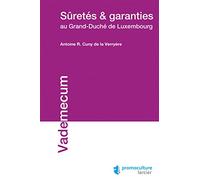 Sûretés et garanties au Grand-Duché de Luxembourg