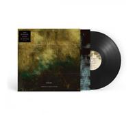 Surface, Echo & Sound Vinyle