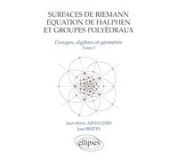 Surfaces de Riemann - Equation de Halphen et groupes polyédraux, tome 3 : Groupes, algèbre et géométrie