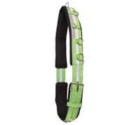Surfaix de travail pour cheval en nylon Imperial Riding Deluxe Vert Cob