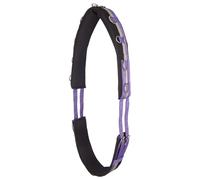 Imperial Riding Laisse « IRH Deluxe » en Polyester avec Doublure en néoprène et Anneaux en métal, Violet Roi, COB