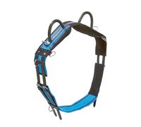 Surfaix double Busse