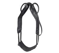 Surfaix pour cheval voltige et de longe Star Noir Full