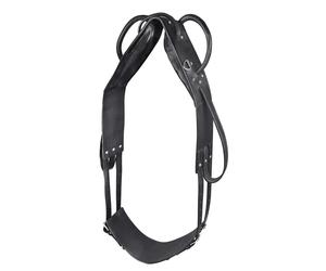Surfaix pour cheval voltige et de longe Star Noir Poney
