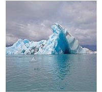 Surfer Blood (Édition Limitée Couleur)