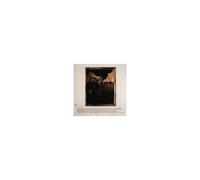 Surfer Rosa