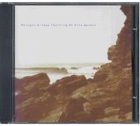 Surfing On Sine Waves