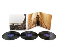 Polygon Window – Surfing On Sine Waves – Vinyle – Expanded Édition
