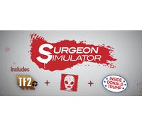 Surgeon Simulator 2013 (PC)