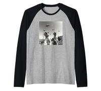 Suricate drôle Pose pour Un Selfie tandis Que Les OVNIS volent bizarrement Manche Raglan