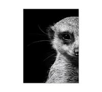 Suricate，Puzzles pour Adultes 1000 Pièces Animaux Jeu De Défi Familial Cadeaux d'anniversaire pour Noël Jeux ÉduChatifs Décoration Relaxation Et Sagesse 1000pcs（75x50cm）-F61