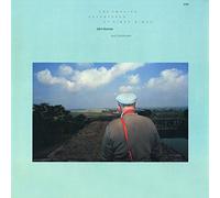 The amazing adventures of Simon Simon