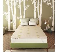 Surmatelas 70x190 cm-Epaisseur 6 cm- Mémoire de Forme - Dehoussable Aloe Vera