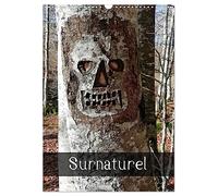 Surnaturel (Calendrier mural 2026 DIN A3 horizontal), CALVENDO calendrier mensuel: La nature surnaturelle
