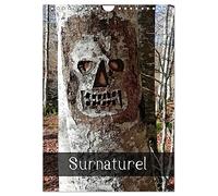 Surnaturel (Calendrier mural 2026 DIN A4 horizontal), CALVENDO calendrier mensuel: La nature surnaturelle