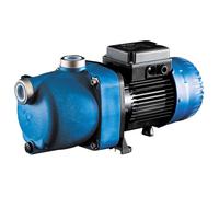 Surpresseur Zodiac Polaris 1 cv mono - - - 1 CV - SANS kit de connexion