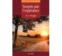 Surpris par l’espérance - N. T. Wright - Excelsis - broché - Essai