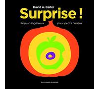SURPRISE