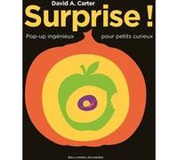 Surprise ! David A. Carter (Auteur)