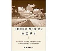 Surprised by Hope N. T. Wright (Auteur)