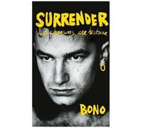 Surrender - 40 Chansons, Une Histoire