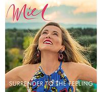 Surrender to The Feeling [Import]