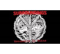 Surroundings - Monuments in Ruins [7" VINYL]