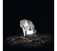 Vanishing Life - Surveillance [Import]