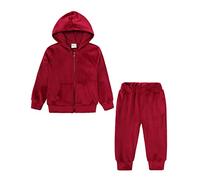 Survetement Enfant Garcon 1-8 Ans Chaude Hiver Sweat Capuche Zippé Enfant Fille Velours Poches Veste Manteau + Pantalon Joggings Habits Tenue Ensemble Vetement Bebe Fille (Wine, 12-24 Months)