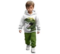 Survêtement pour Petit Garçon, Imprimé Dinosaure, Sweat à Capuche Manches Longues et Pantalon Cargo Taille Élastique, 2 Pièces Chaud pour Automne et Hiver, Idéal École et Parc