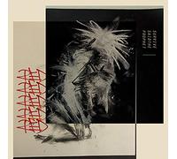 SURVIVE SAID THE PRO - Red