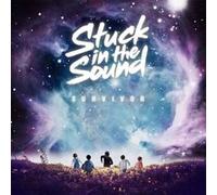 Stuck in the Sound – Survivor – Import