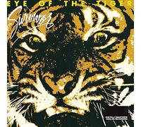 Survivor - Eye of The Tiger