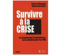 Survivre À La Crise - Le Groupement D'entreprises, Une Solution Pour Les Pme