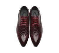 Surwin Chaussures Habillées Ville Classiques en Cuir, Homme Entreprise à Lacets et Derbies Confortable pour Le Bureau, Antidérapant Chaussures d'affaires pour Homme (1738 Bordeaux,47)