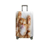 Surwin Elastique Housse de Valise Luggage Cover, Impression 3D Protéger Étui avec Fermeture Éclair, Lavable Réutilisable Anti-Rayures Bagages Voyage Couvre (M (22-24 Pouces),modèle de Chaton 1)