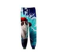 Surwin Homme/Femme Graphique Joggers Pants, Unisexe Imprimé de Grumpy Cat Sport Pantalon de Jogging Funny Pantalons de Survêtement Sweatpants pour Fitness (Chat Animal 2,L)