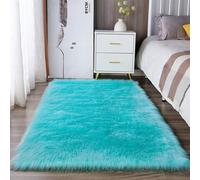 Surwin Rectangle Tapis Peluche Salon Hiver Doux Shaggy Tapis Chambre, Sol Rug Lavable en Machine, Moderne Carpet pour Salle a Manger Couloir Coucher Bureau Chien (Bleu Lac,70x70cm)