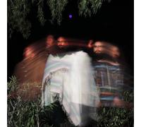 Surya Botofasina/Nate Mercereau/Carlos Niño Subtle Movements (Vinyl)