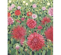 Susan ENTWISTLE Champ de Dahlias édition limitée Art Imprimé Papier, Multicolore, 40 x 40 x 48 cm