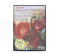 Susan Harrison-Tustain's One-on-One Watercolor Workshops