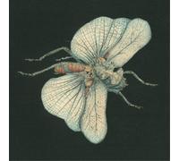 Susanna Go Dig My Grave (Vinyl) 12" Album