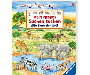 Susanne Gernhäuser Ursula We Mein großes Sachen suchen: Alle Tiere der (Poche)