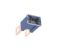 susiodeu Assortiment de fusibles à lames haute capacité pour la des systèmes. Détection et fonctionnement fiable. Fusible enfichable. Généralités, 100A