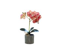 susiodeu Fleur d'orchidée Artificielle bonsaï en Pot Simulation Phalaenopsis décor à la Maison 8 Fleurs Plante pour Mariage extérieur intérieur, Rose