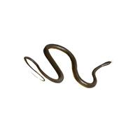 susiodeu Jouets de Simulation réalistes de Serpent, Figurine Serpent en Caoutchouc pour Halloween, Jouets Blague Pratiques, Accessoires fête, Collection Tours effrayants pour Halloween,