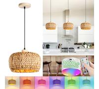 Suspension Boho Rattan E27 avec Batterie Intérieur Vintage Bambou Suspension Lampe Suspendue avec Télécommande, Lampe Suspendue RGB, Ampoules Rechargeables pour Salle à Manger Pas de Câbles