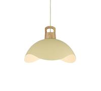 Suspension créative en métal en Forme de pétale, culot à vis E27, luminaire de Plafond, luminaire décoratif pour Salon, Chambre à Coucher ou Couloir