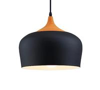 Suspension de style campagnard américain, abat-jour en métal original et créatif, douille E27, lustre à une tête, luminaire décoratif pour restaurant, hôtel et bureau, un dévouement sans faille