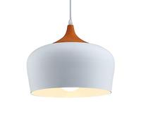 Suspension de style campagnard américain, abat-jour en métal original et créatif, douille E27, lustre à une tête, luminaire décoratif pour restaurant, hôtel et bureau, un dévouement sans faille